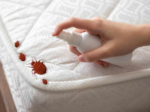 Pest Control Cost in Flint, MI