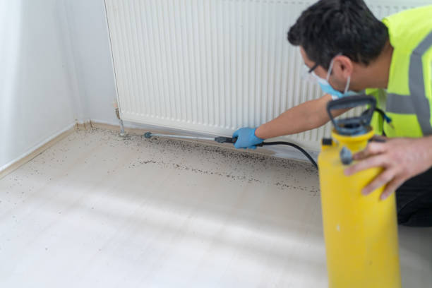 Pest Control for Restaurants in Flint, MI