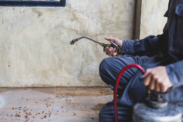 Best Local Pest Control Services  in Flint, MI